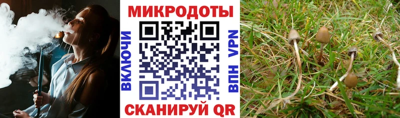 blacksprut tor  Еманжелинск  Псилоцибиновые грибы Cubensis 